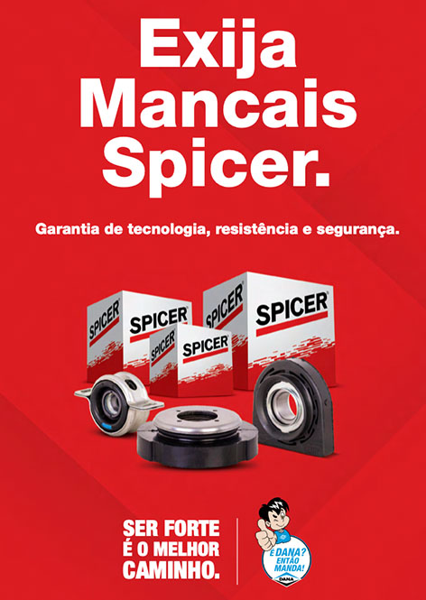 Mancais Spicer